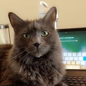 Meet your Posher, Madison